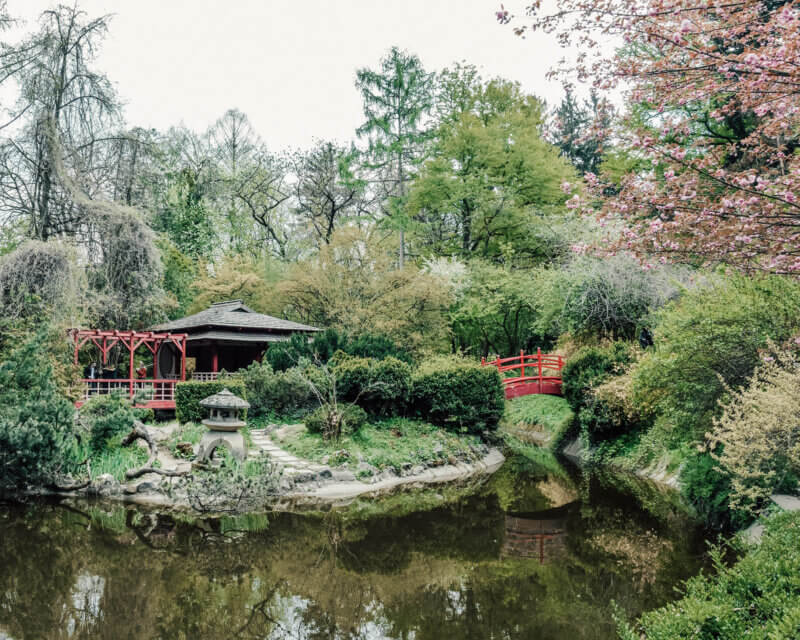 Botanical Garden Japanese Garden