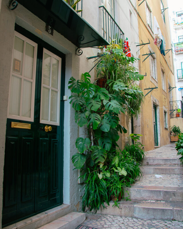 Alfama Area