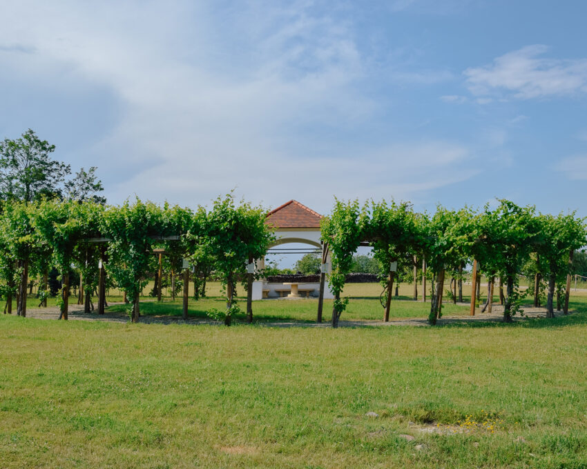 Wochenende im Burgenland
