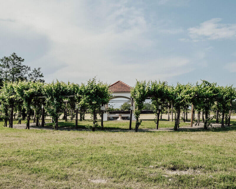 Wine Monument in Mörbisch am See, Burgenland