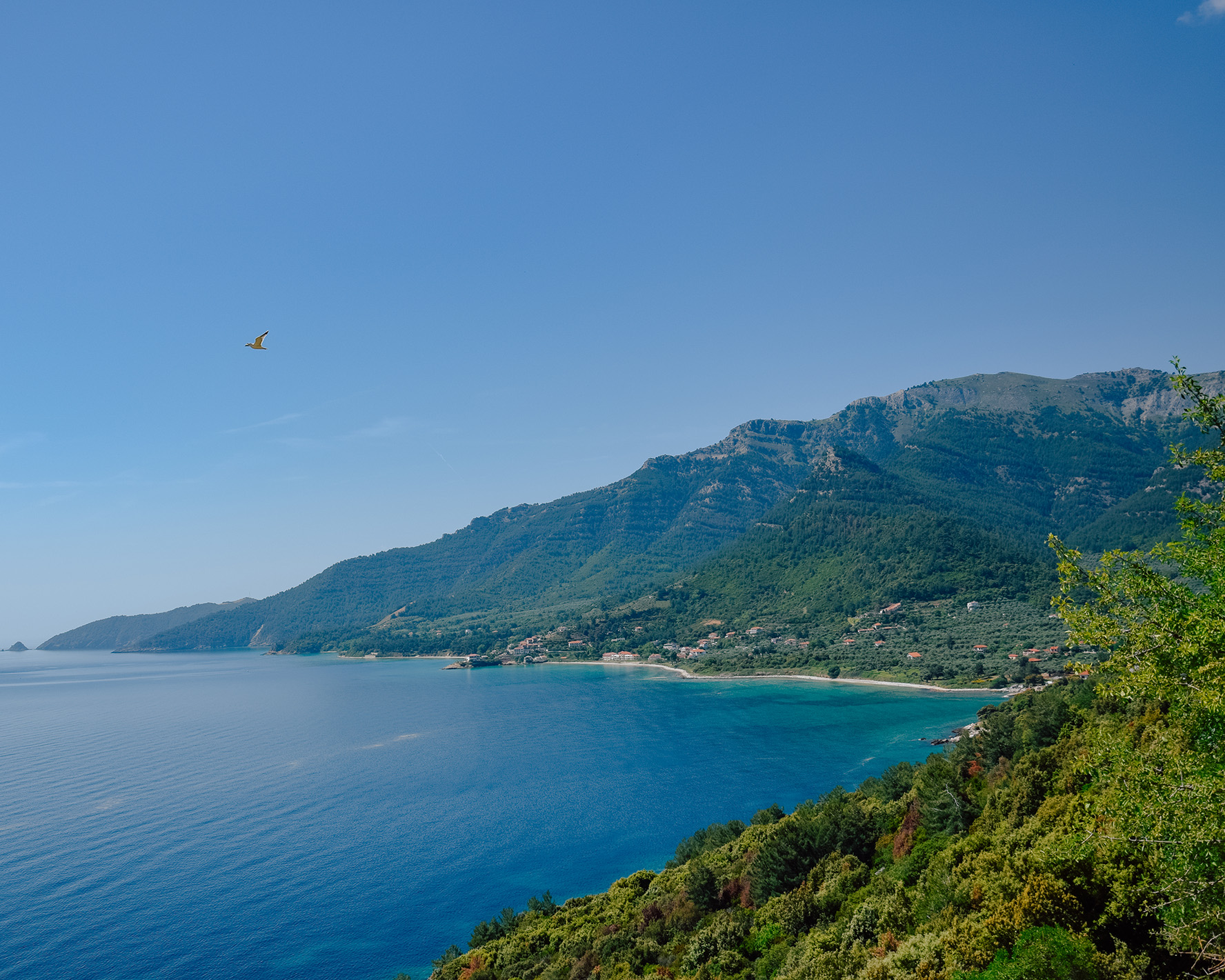 Thassos