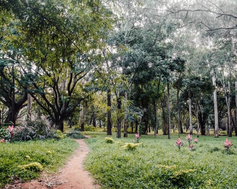 Cubbon Park