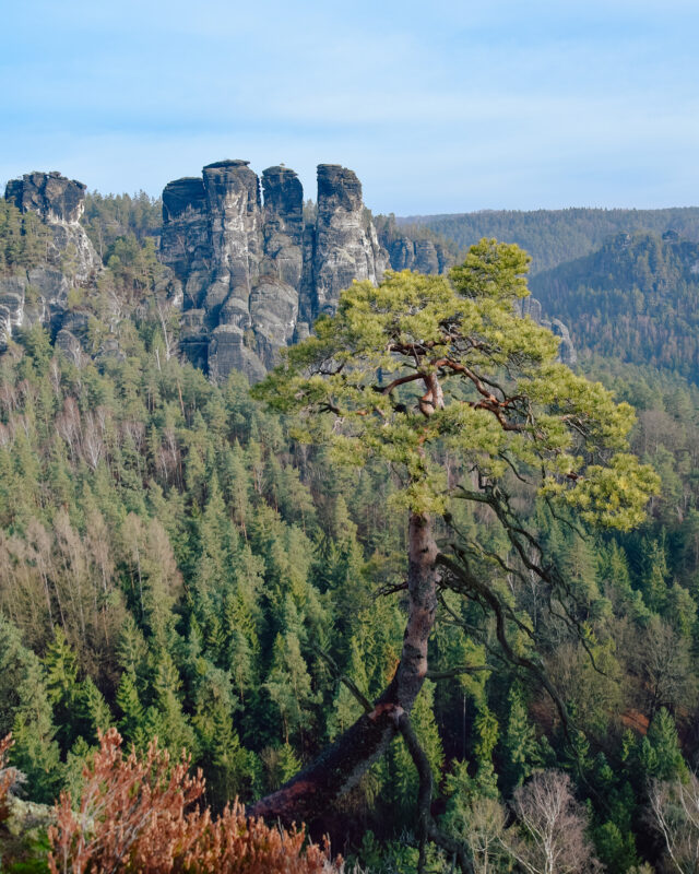 Wehlstein Viewpoint