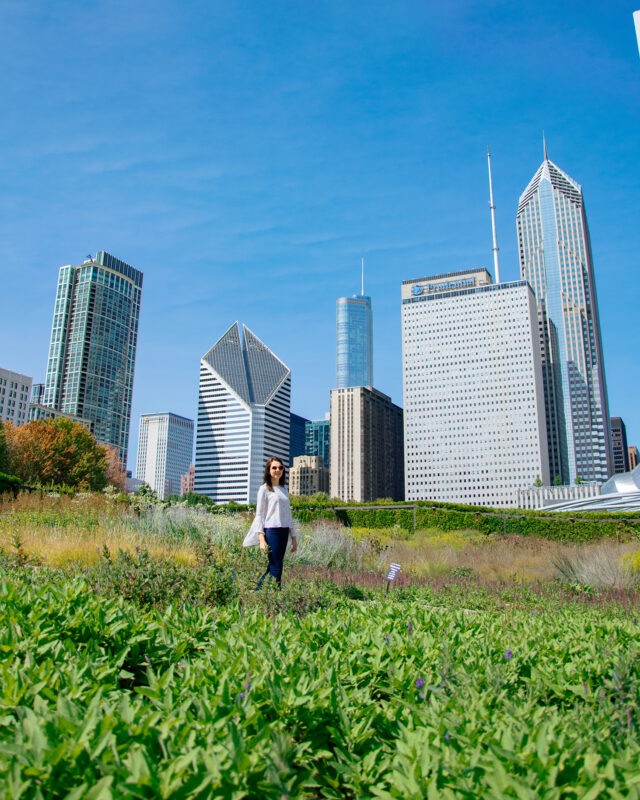 Aktivitäten in Chicago