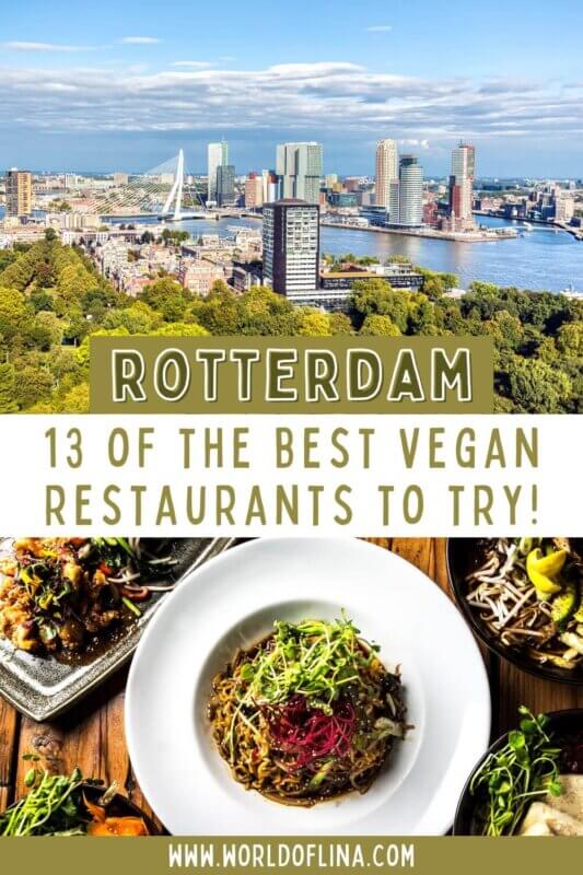 Rotterdam vegan travel guide