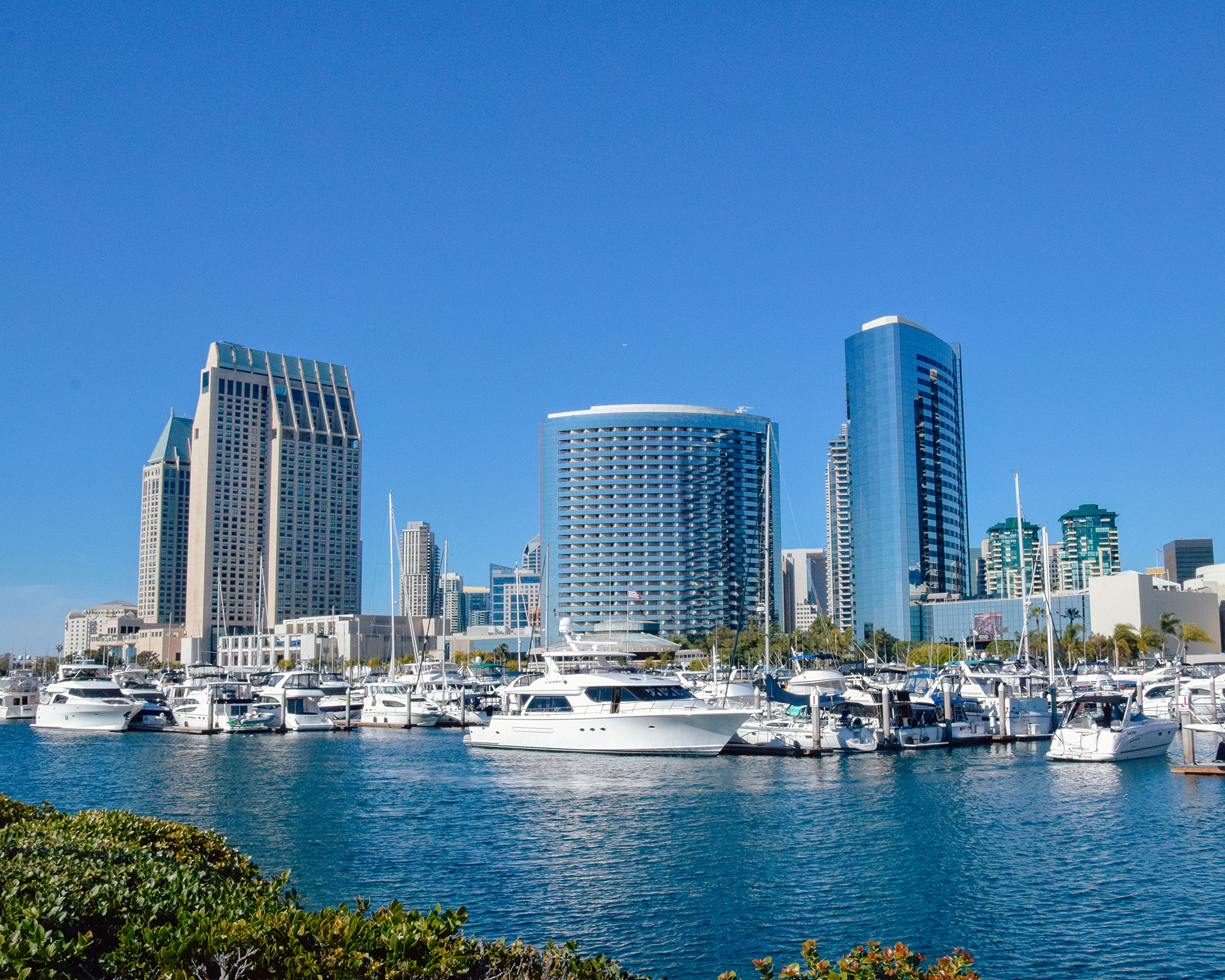 One Day in San Diego