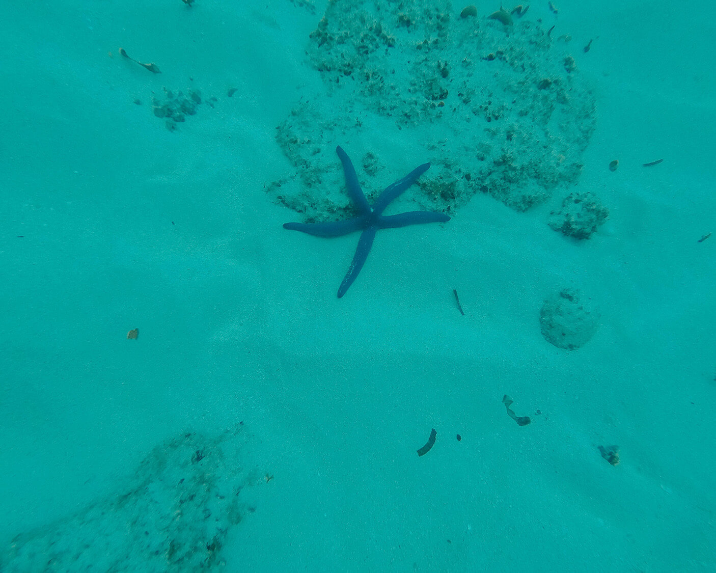 Bucket List Experience: Scuba Diving in Zanzibar - World of Lina
