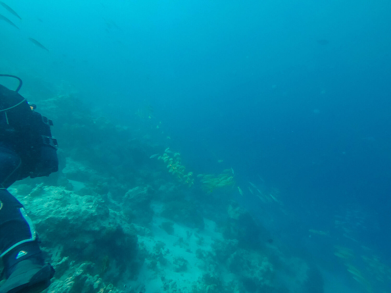 Bucket List Experience: Scuba Diving in Zanzibar - World of Lina