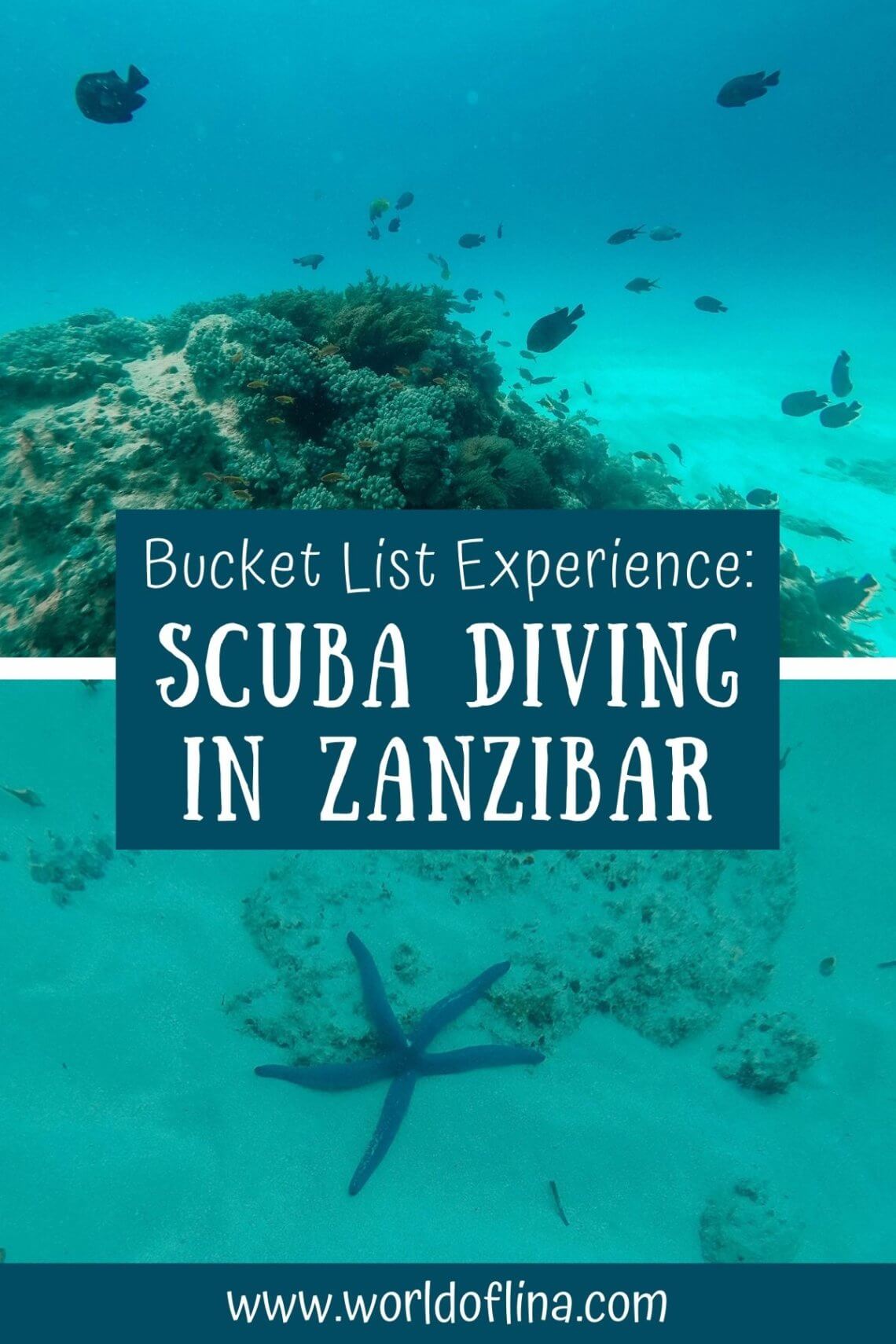 Bucket List Experience: Scuba Diving in Zanzibar - World of Lina