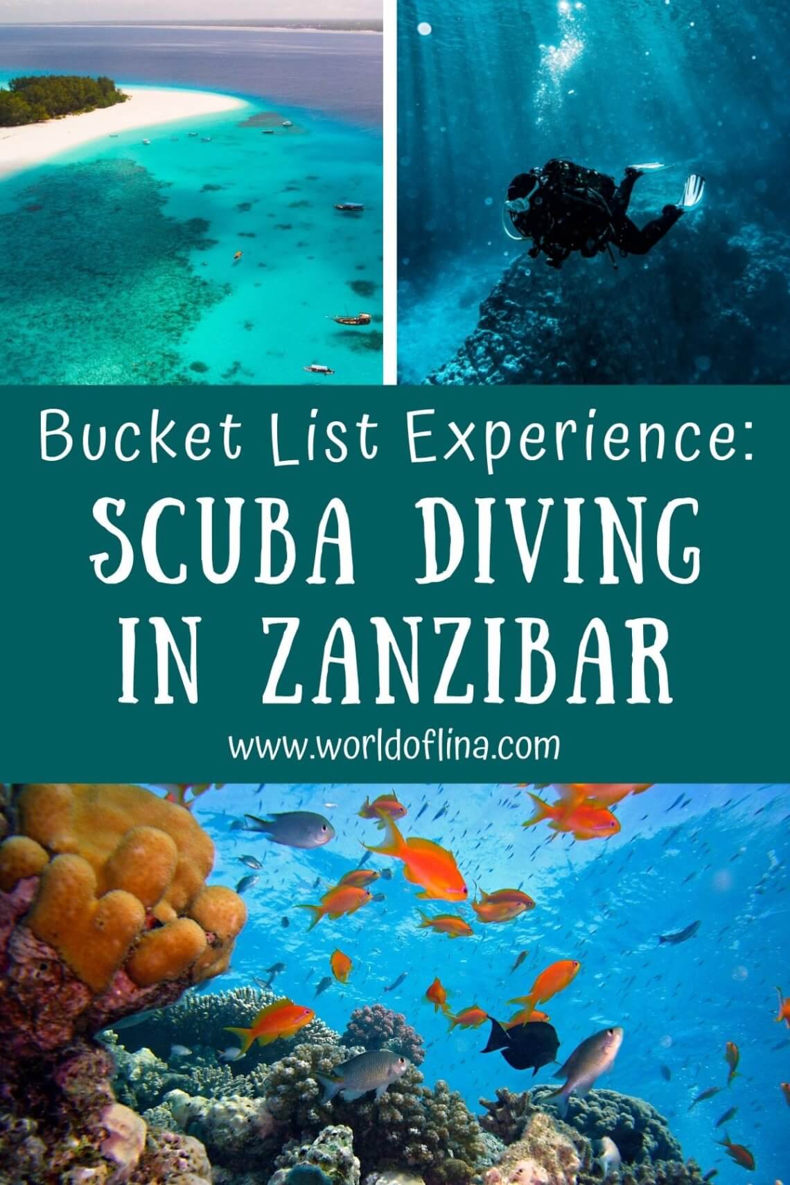 Bucket List Experience: Scuba Diving in Zanzibar - World of Lina