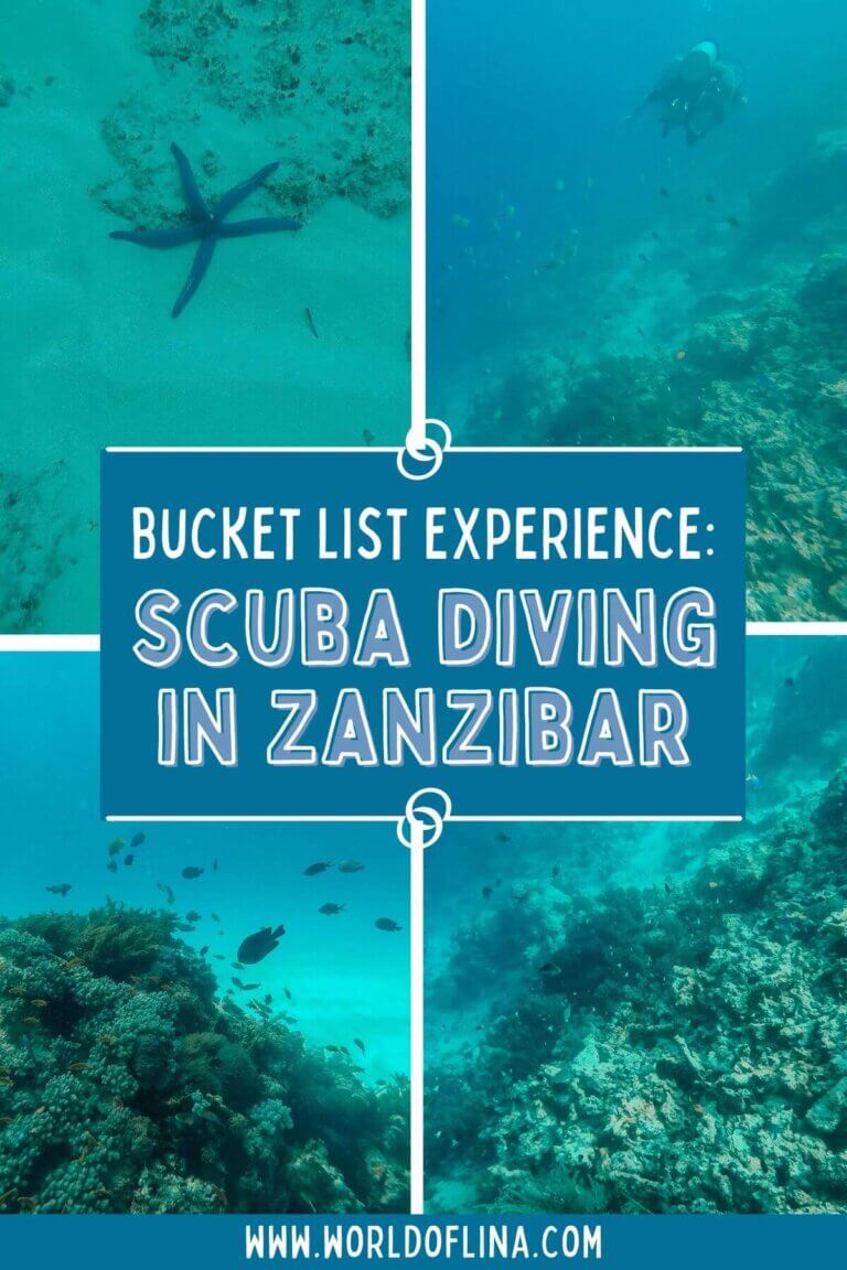 Bucket List Experience: Scuba Diving in Zanzibar - World of Lina
