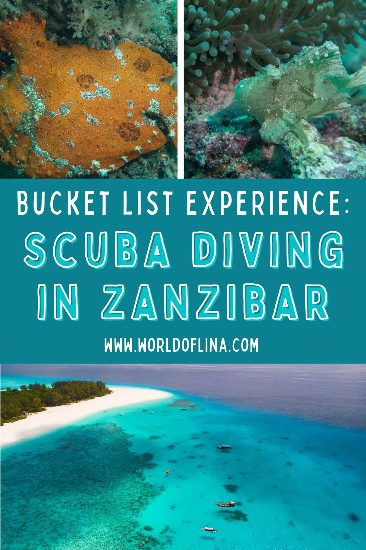 Scuba Diving in Zanzibar
