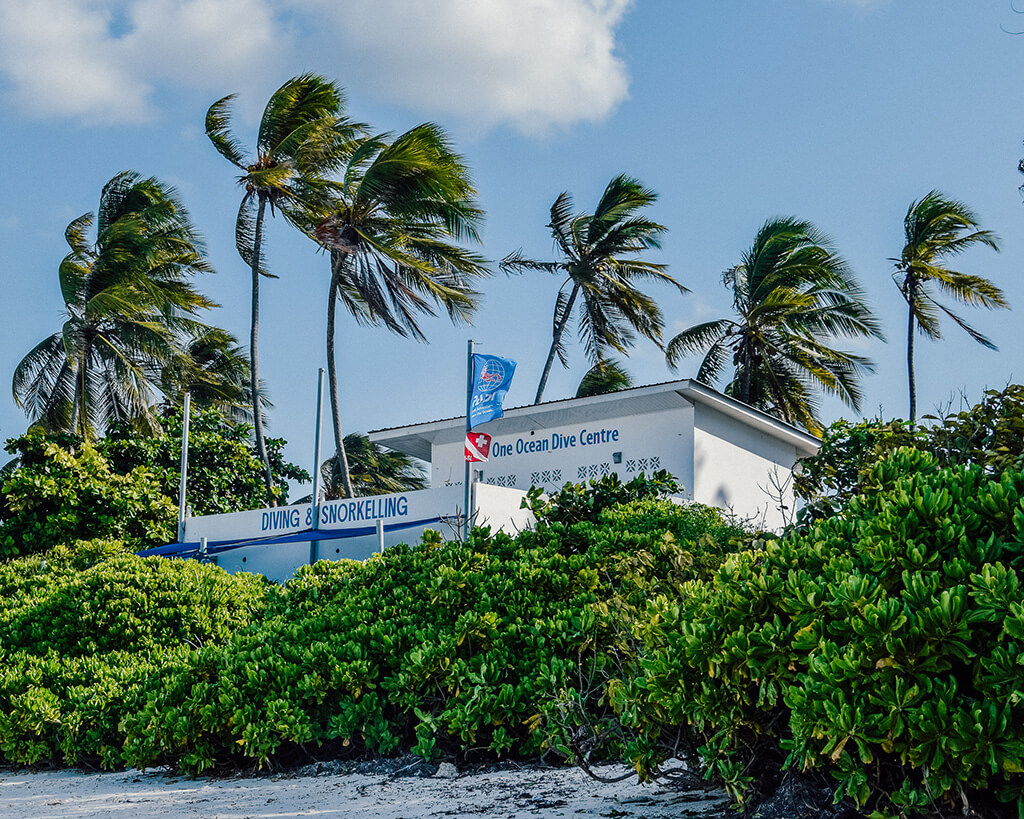 Bucket List Experience: Scuba Diving in Zanzibar - World of Lina