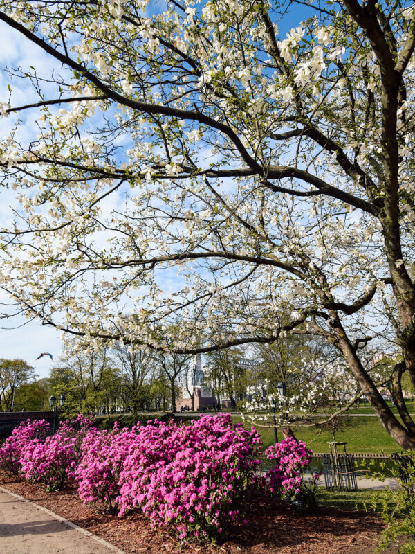 Bastejkalns Park Riga