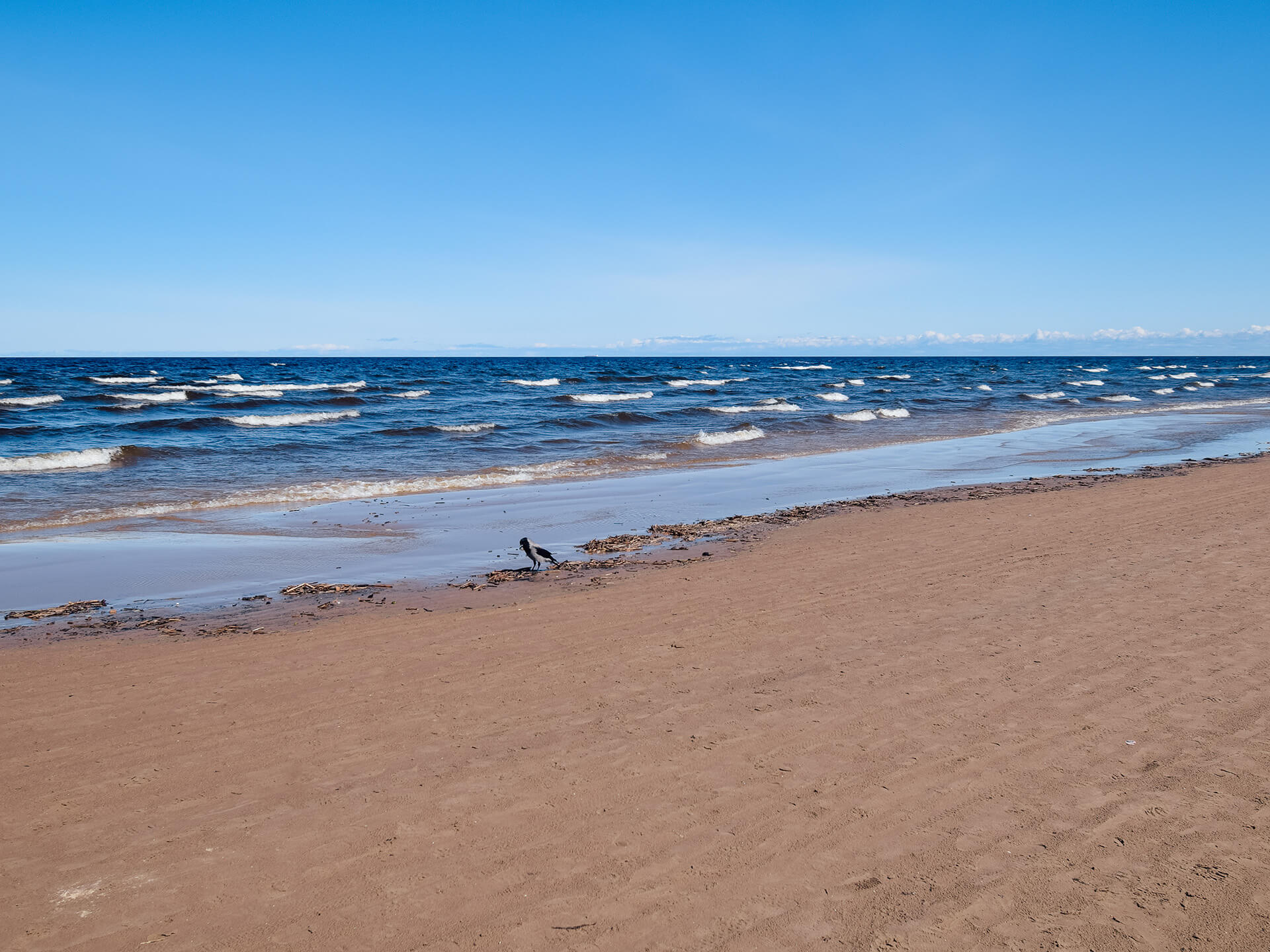 A Perfect Day Trip To Jurmala From Riga Latvia World Of Lina A Perfect Day Trip To Jurmala From Riga Latvia World Of Lina